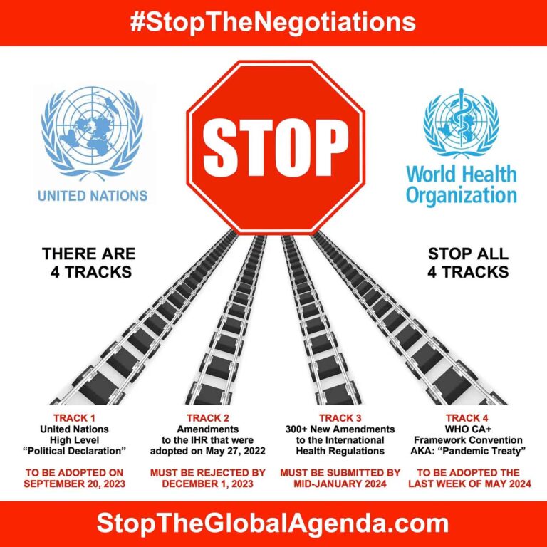 A summary of the current situation regarding the United Nations and the World Health Organization